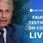Anthony Fauci Testifies in Front of Subcommittee on Coronavirus Response: Full Video and Transcript